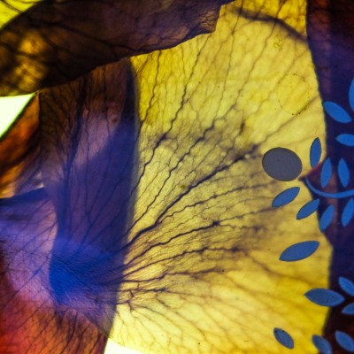 Оливковое масло для тела и волос Wokali Organic Olive Oil WKL555 120 мл