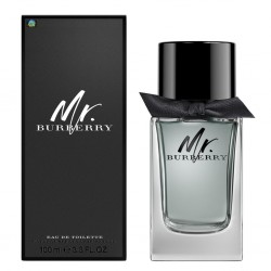 Туалетная вода мужская Burberry Mr. Burberry 100 мл (Euro)