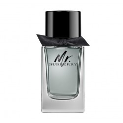 Туалетная вода мужская Burberry Mr. Burberry 100 мл (Euro)