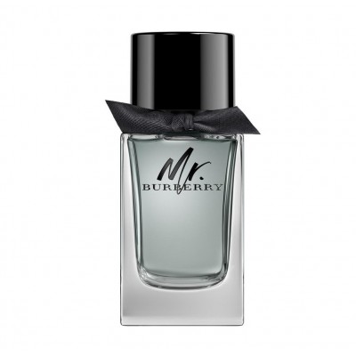 Туалетная вода мужская Burberry Mr. Burberry 100 мл (Euro)